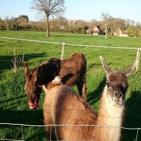 度假居 Gite Campagne Et Clim - 4 Pers. - Fr-1-489-84