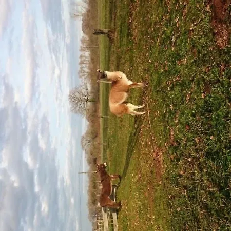 Gite Campagne Et Clim - 4 Pers. - Fr-1-489-84 Дом отдыха Saint-Bonnet-Troncais