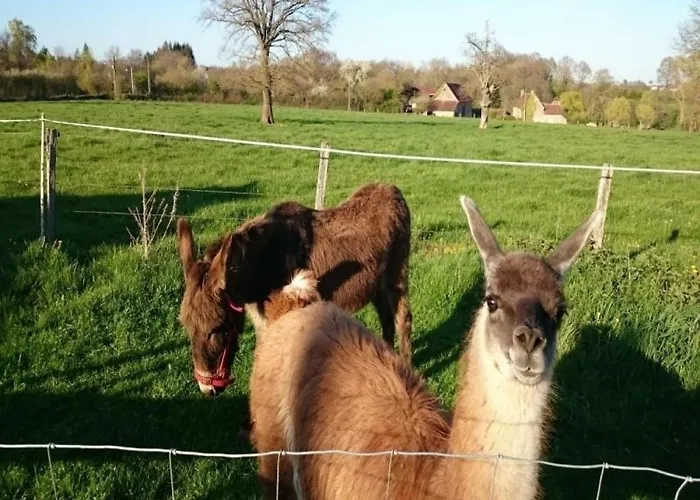 Дом отдыха Gite Campagne Et Clim - 4 Pers. - Fr-1-489-84