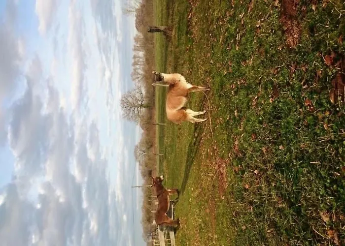 Gite Campagne Et Clim - 4 Pers. - Fr-1-489-84 度假居 Saint-Bonnet-Tronçais